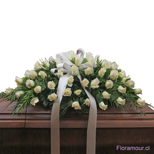 Gran Ovalo manto cubre urna de 50 rosas importadas blancas